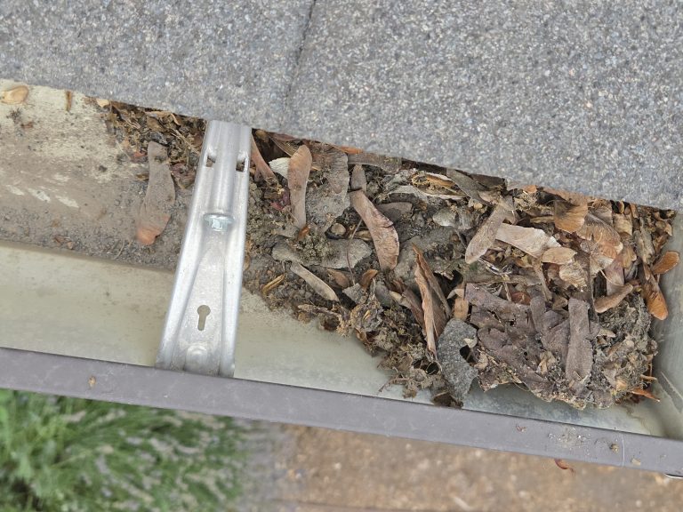 Gutter trough packed with leaves and debris before cleaning