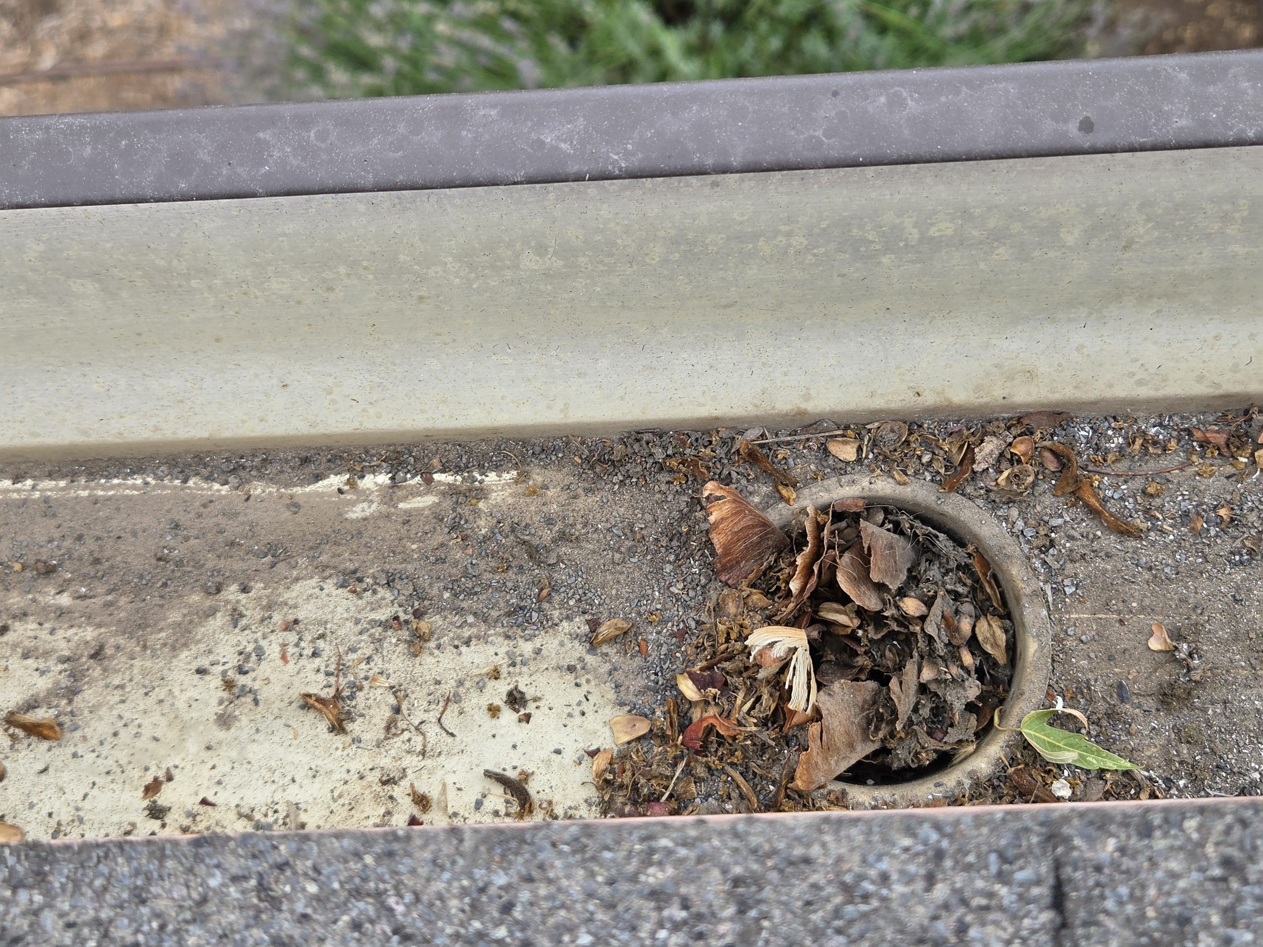 Gutter trough packed with dirt and debris before cleaning