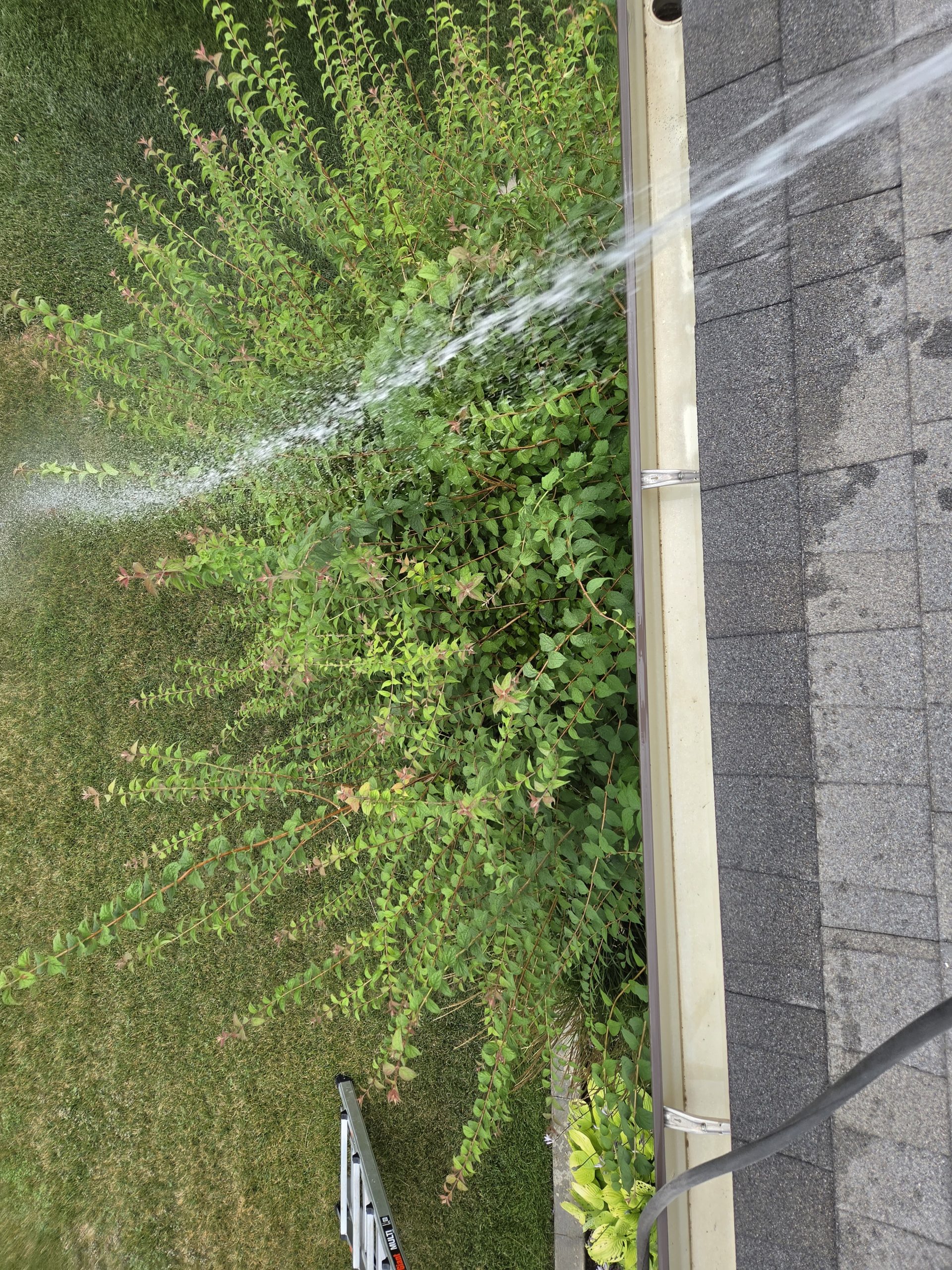 Rinsing along the roofline during gutter cleaning