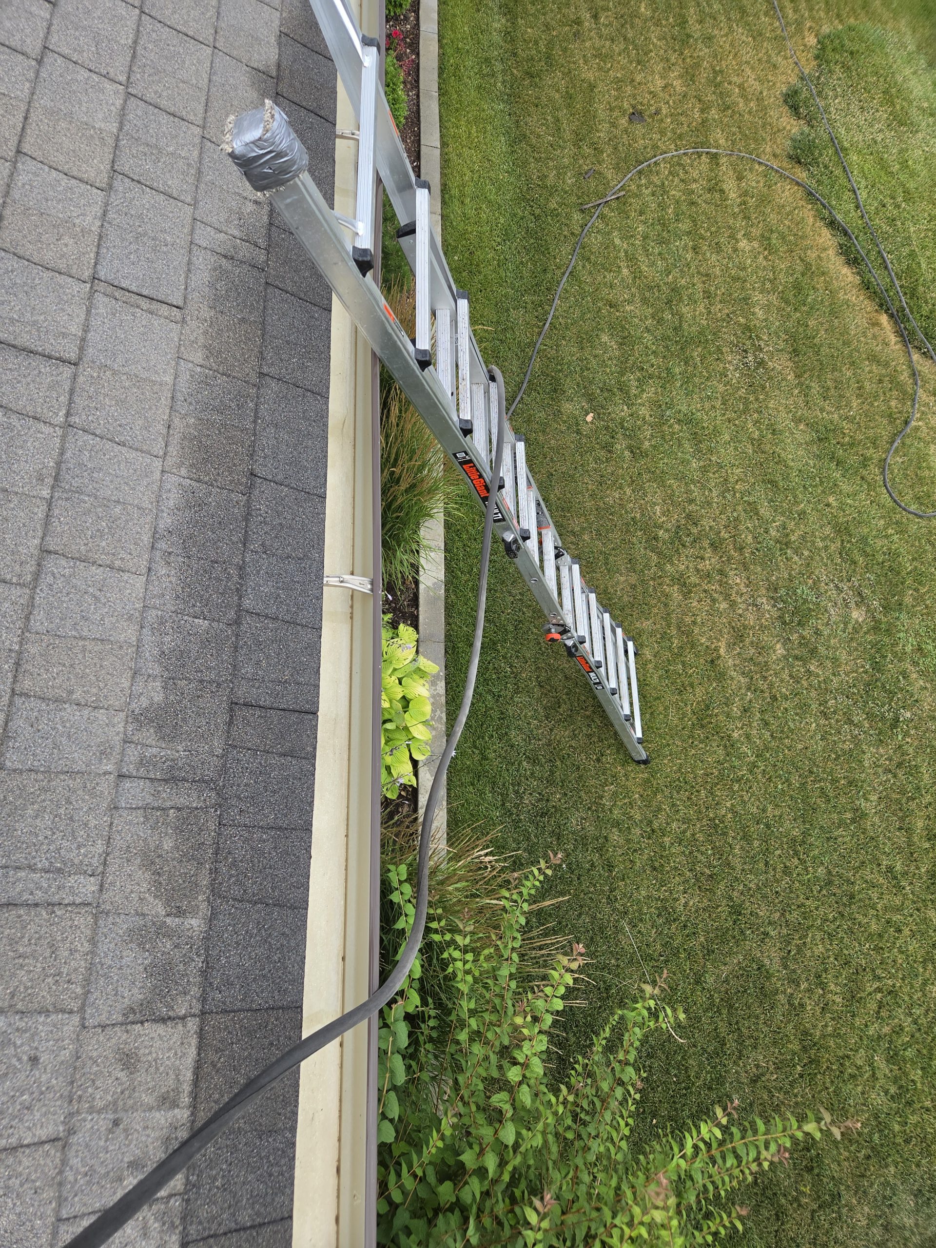 Ladder set up against the roofline for gutter access