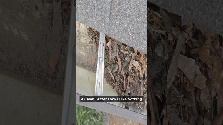A Clean Gutter Looks Like Nothing