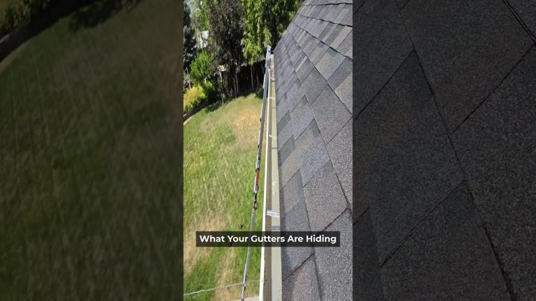 What Your Gutters Are Hiding